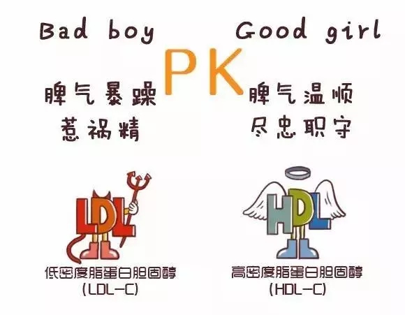 什么是高胆固醇高血脂 20190430163553_8686.jpg