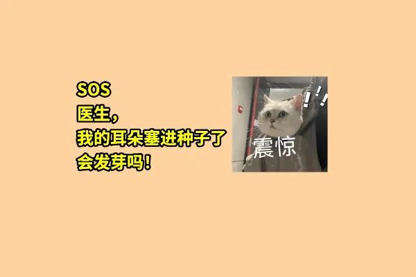 OMG！我的耳朵居然发芽了？！