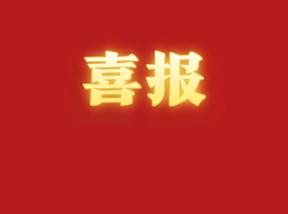 国家级荣誉+3！